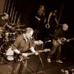 Nearly Dan at Huntington Hall 2017